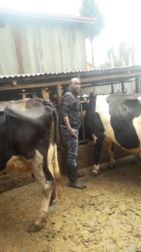 Biko Kithingi Green Farm Dairy