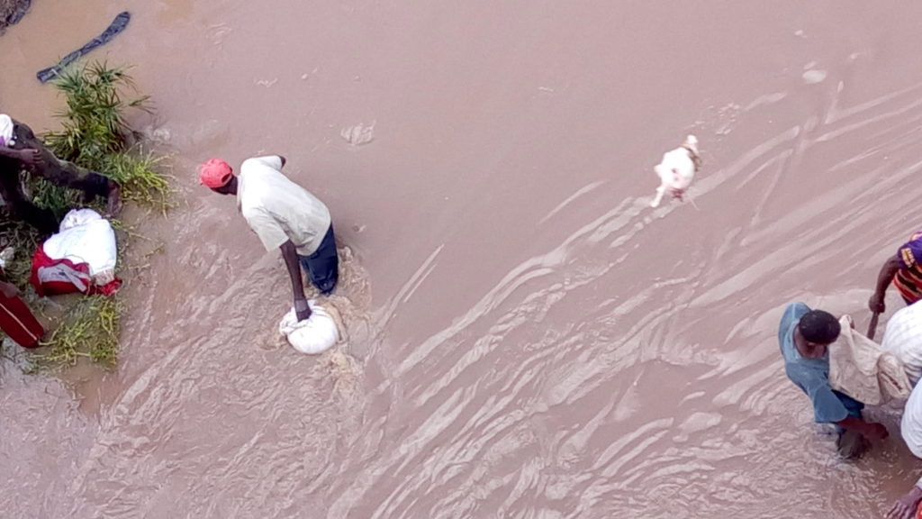 residents eat live hippo 3